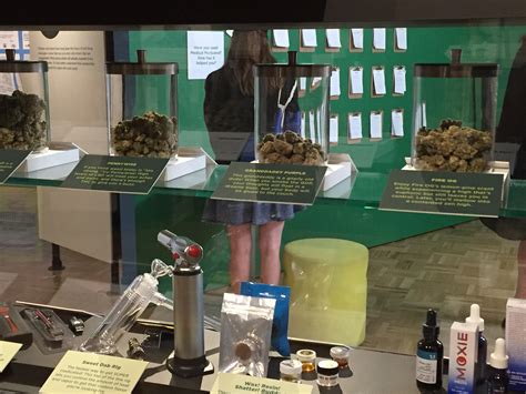 Cannabis Culture On Display In Museum Worlds Volume 8 Issue 1 2020