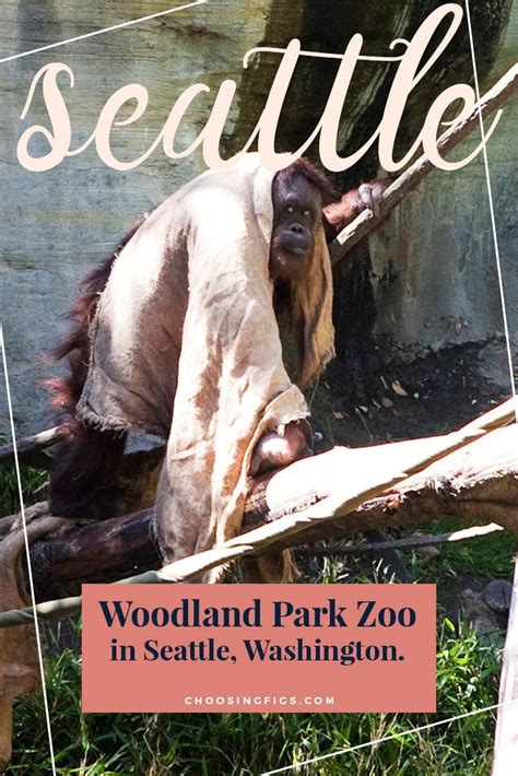 Woodland Park Zoo In Seattle Washington Seattle Vacation Visit