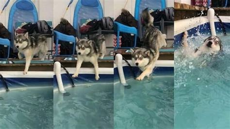 Semoga sehat dan baik selalu. Gambar Gokil Lucu Banget yang Bikin Sakit Perut | TopLucu