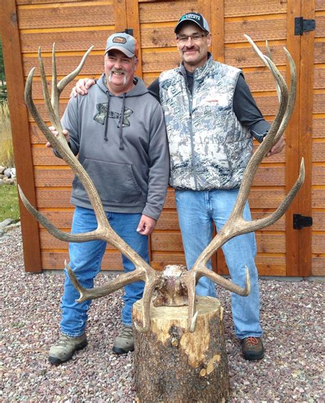 The New World Record Archery Elk Outdoor Life