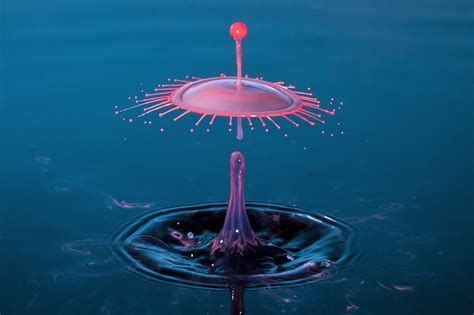 A single drop of paint dropped in Water : MostBeautiful