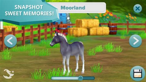 Star Stable Horses For Android Apk Download
