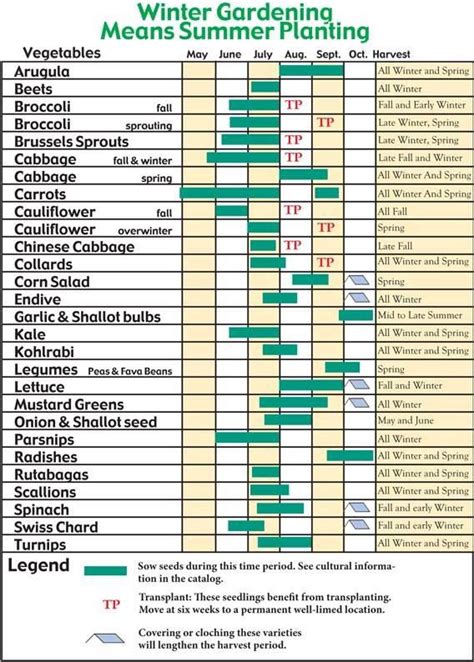 Vegetable Planting Guide Zone 6