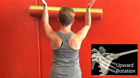 3 Exercises To Correct A Winged Scapula Youtube