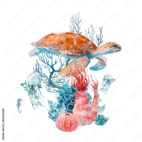 Watercolor Sea Turtle Artwork Underwater Scene With Turtle Jelly Fish