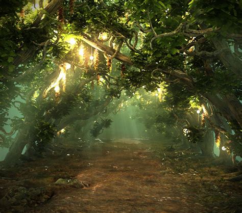 Magical Forest Hd 3d Magical Forest Fantasy Forest Forest