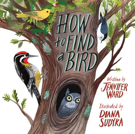 How To Find A Bird Book By Jennifer Ward Diana Sudyka Official
