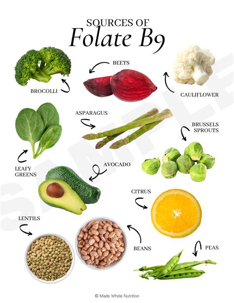 Sources Of Folate B9 — Functional Health Research Resources — Made