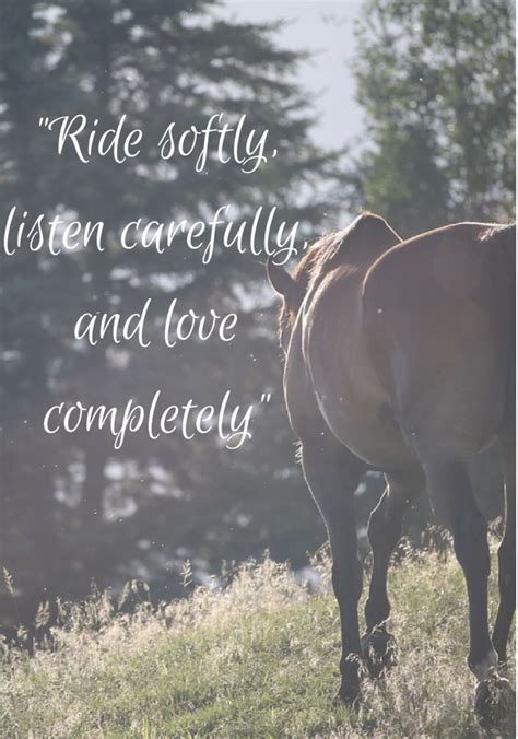 Pin By Elizabeth Alderson On Horse Quotes Horse Quotes Horse Riding
