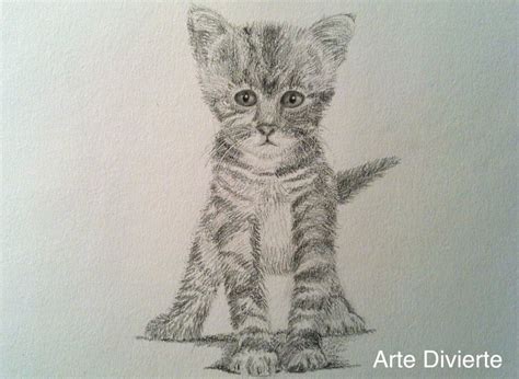 Arte Divierte — Como Dibujar Un Gato Realista Dibujando Un