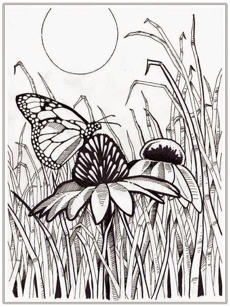 Adult Coloring Pages Butterfly Realistic Coloring Pages