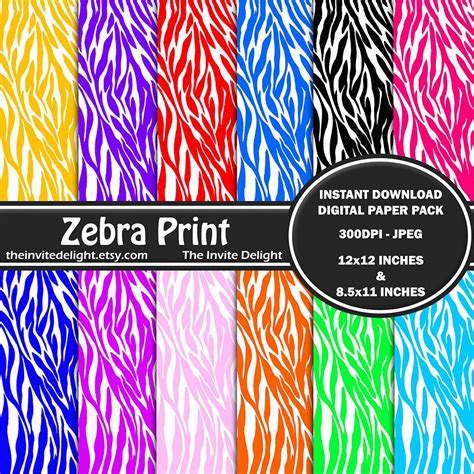 Zebra Print Digital Paper Pack Rainbow Zebra Print Animal