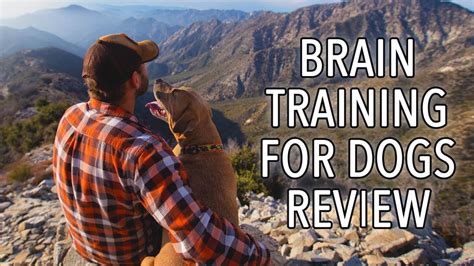 Brain Training For Dogs Review 🦮 Eliminate Bad Behaviour With Brain