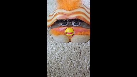 Furby Friend Shelby Orange And Creme Striped Clam Interactive Talking