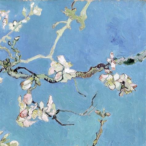 Almond Blossom Detail By Vincent Van Gogh Lone Quixote