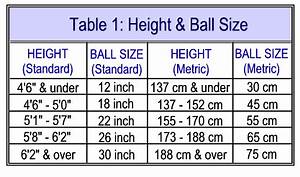 Height And Ball Size Stability Ball Exercises Ball Exercises