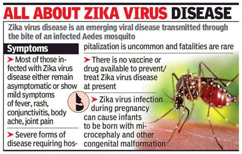 Zika Virus In Maharashtra Maharashtra Reports Its First Zika Virus