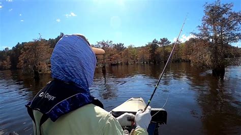 Santee Cooper Lake Marion Fall Bass Fish On Youtube