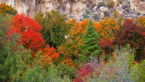 Where To See Arizonas Fall Colors