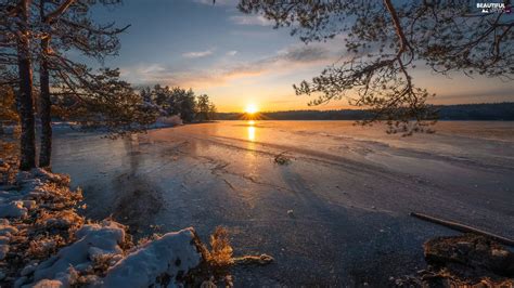 Great Sunsets Trees Ringerike Viewes Lake Winter Norway