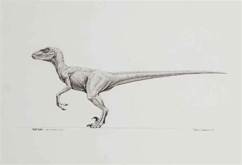 Jurassic Park Velociraptor Jurassic Park Tattoo Dinosaur Tattoos