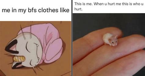 33 Memes For Women Who Fit The Soft Girl Aesthetic CheezCake