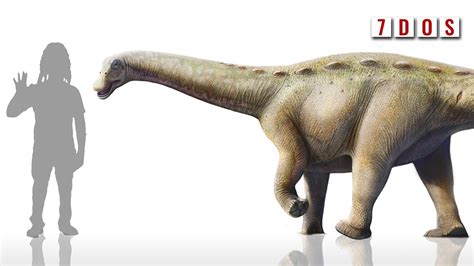 New Dwarf Dinosaur Discovered 7 Days Of Science Youtube