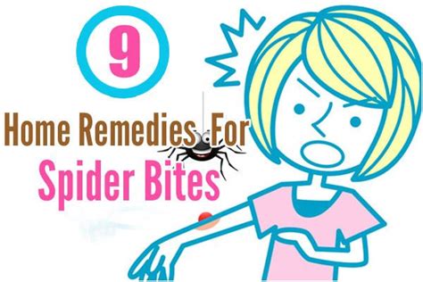 9 Effective Home Remedies For Spider Bite Home Remedies For Spiders