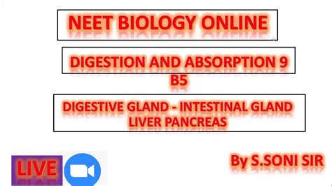Digestive Gland Intestinal Gland Most Important Ncert Neet Bio