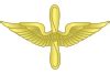 File Raf Af Branch Insignia Svg Wikimedia Commons