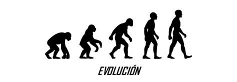 Teoría De La Evolución ¿hubo Alguien Antes De Charles Darwin