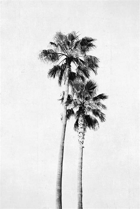 Palm Tree Photograph Vertical Print Black And White Art