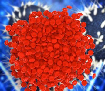 Cpk wert in anderen sprachen: Blutplasma der Hauptbestandteil des Blut: Definition & Krankheiten