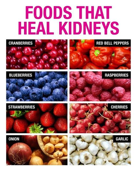 8 Foods That Heal Kidneys Healthy Diet Sport Nutrition Health And