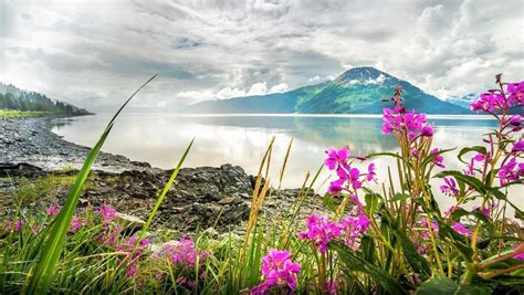 20 Jaw Dropping Photos Of Alaska Thatll Make You Want To Move Right