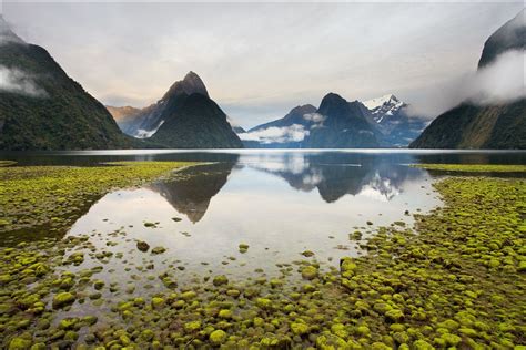 Milford Sound New Zealand Oh The Places Youll Go Great Places Places