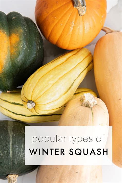 Types Of Winter Squash A Guide To Winter Squash Varieties