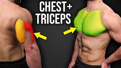 5 Killer Chest And Triceps Exercises Pt2 Gruesome Chest And Tris