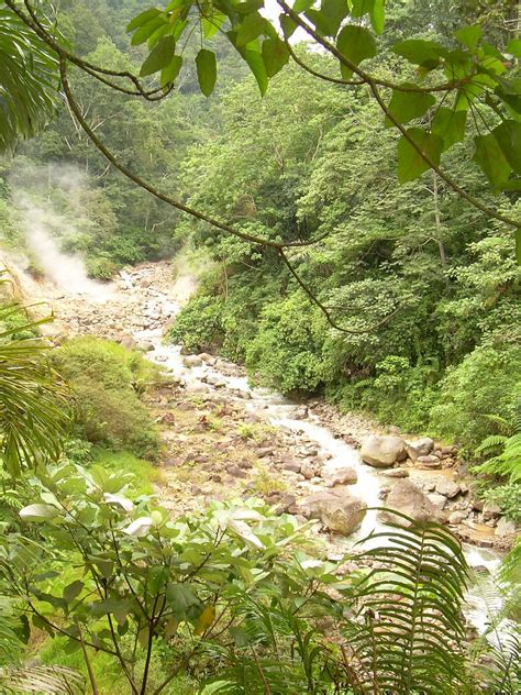 arti unik: [PIC] Wisata Petualangan Hutan Tropis Kalimantan, 'Fear ...