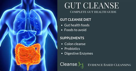Gut Cleanse The Complete Digestive And Gut Health Plan Digestive