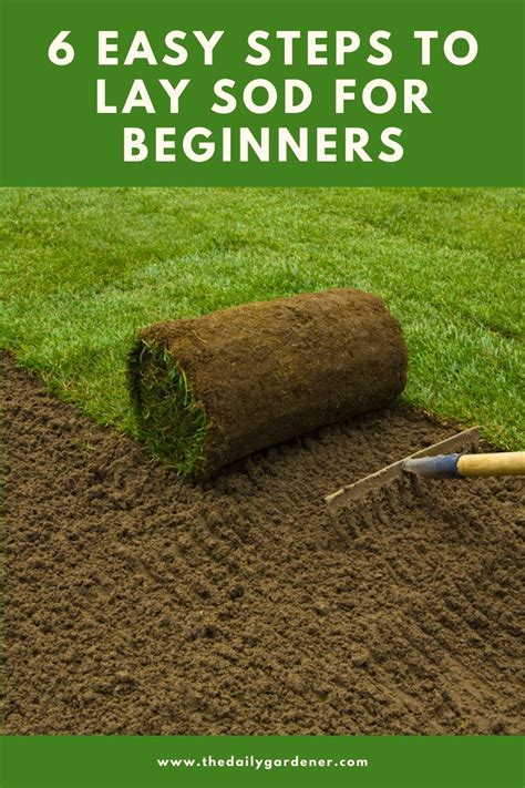 6 Easy Steps To Lay Sod For Beginners