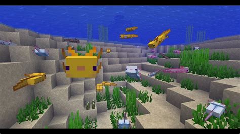 Minecraft Live Making An Axolotl Aquarium Youtube