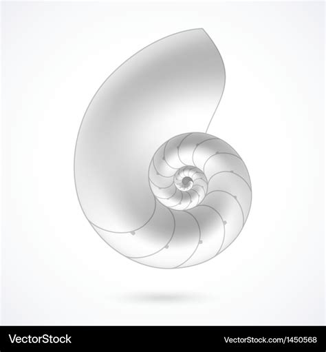 Nautilus Shell Royalty Free Vector Image Vectorstock