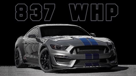 2019 Shelby Gt350 800r Twin Turbo Dyno Testing 837 Whp Youtube