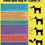 Printable Dog Training Guide