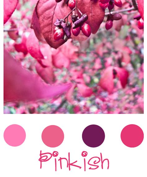 Pinkish Color Palette By Saraaphotos On Deviantart
