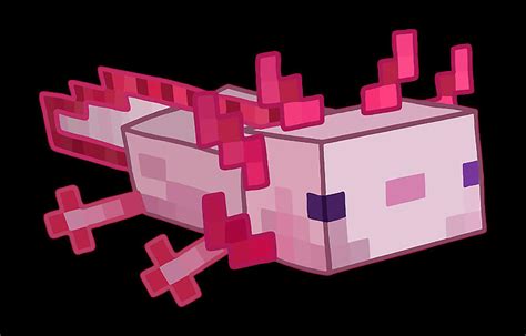 Minecraft Axolotl Digital Art By Alexandra K Bradshaw