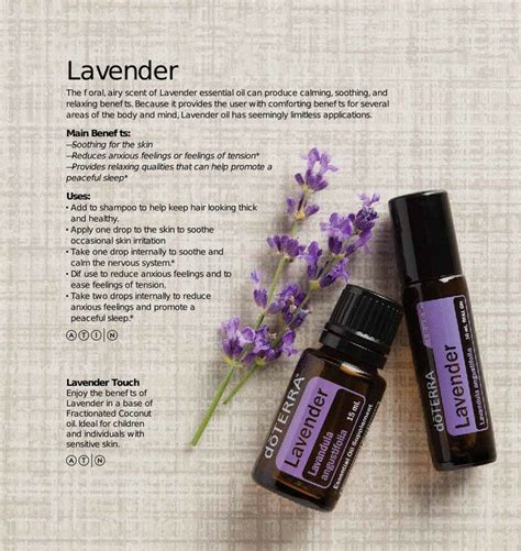 Doterra Lavender Essential Oil 15ml My Home And Co