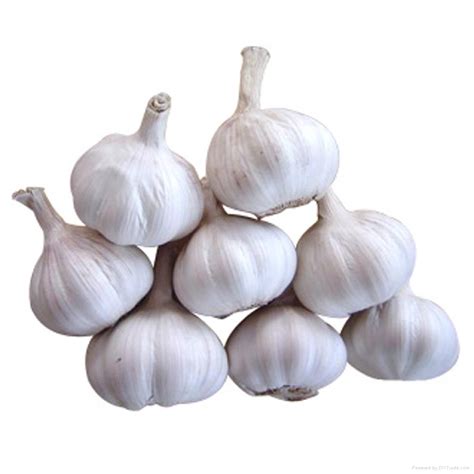 3 Facts to Know About Garlic from China | by Garlic China | Medium