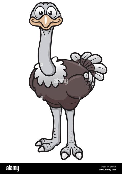 Ostrich Cartoon Hi Res Stock Photography And Images Alamy